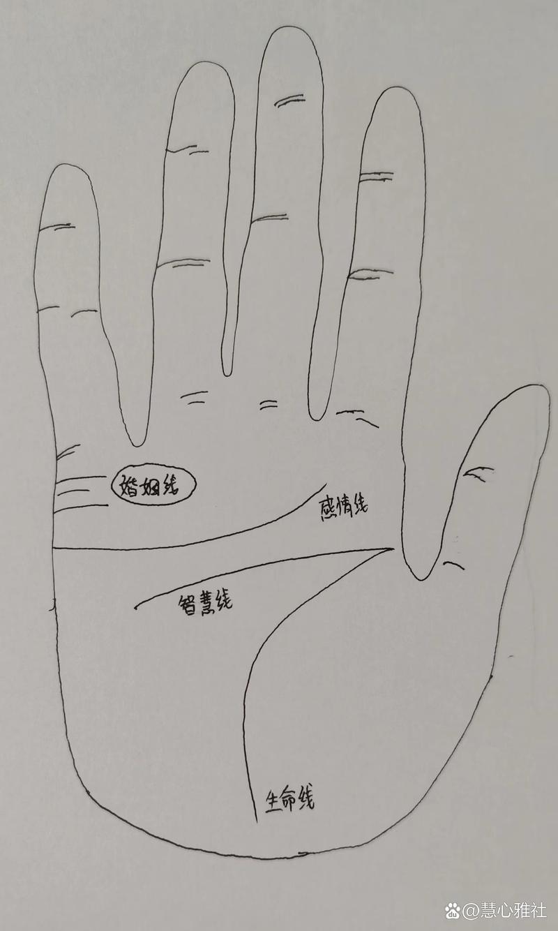 分叉的感情线_感情线分叉_分叉线是什么